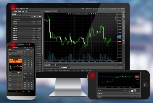 FIBO Group: web terminal 4