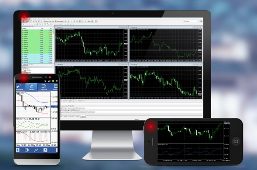 FIBO Group: web terminal 3